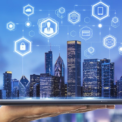 PHÁT TRIỂN ĐÔ THỊ - DỊCH VỤ